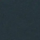 CA1610-082 ASCENDENT
